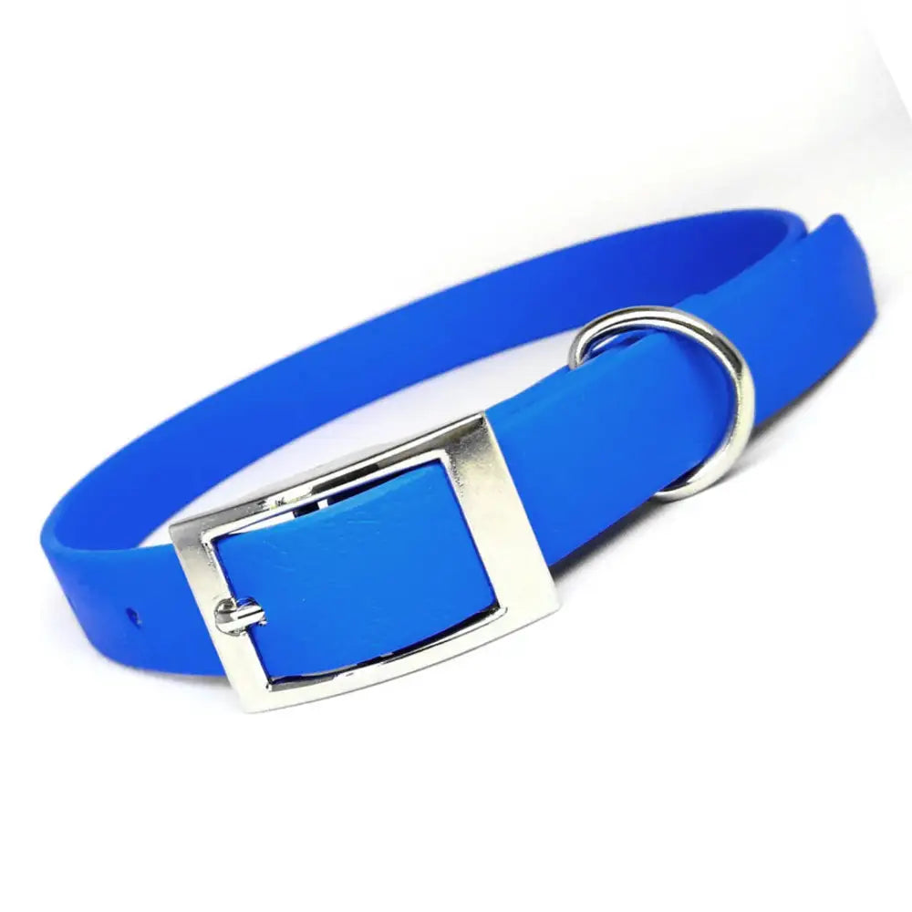 Biothane Dog Collar in Blue - Posh Pawz - 1