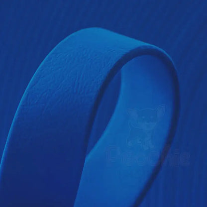 Biothane Dog Collar in Blue - Posh Pawz - 2