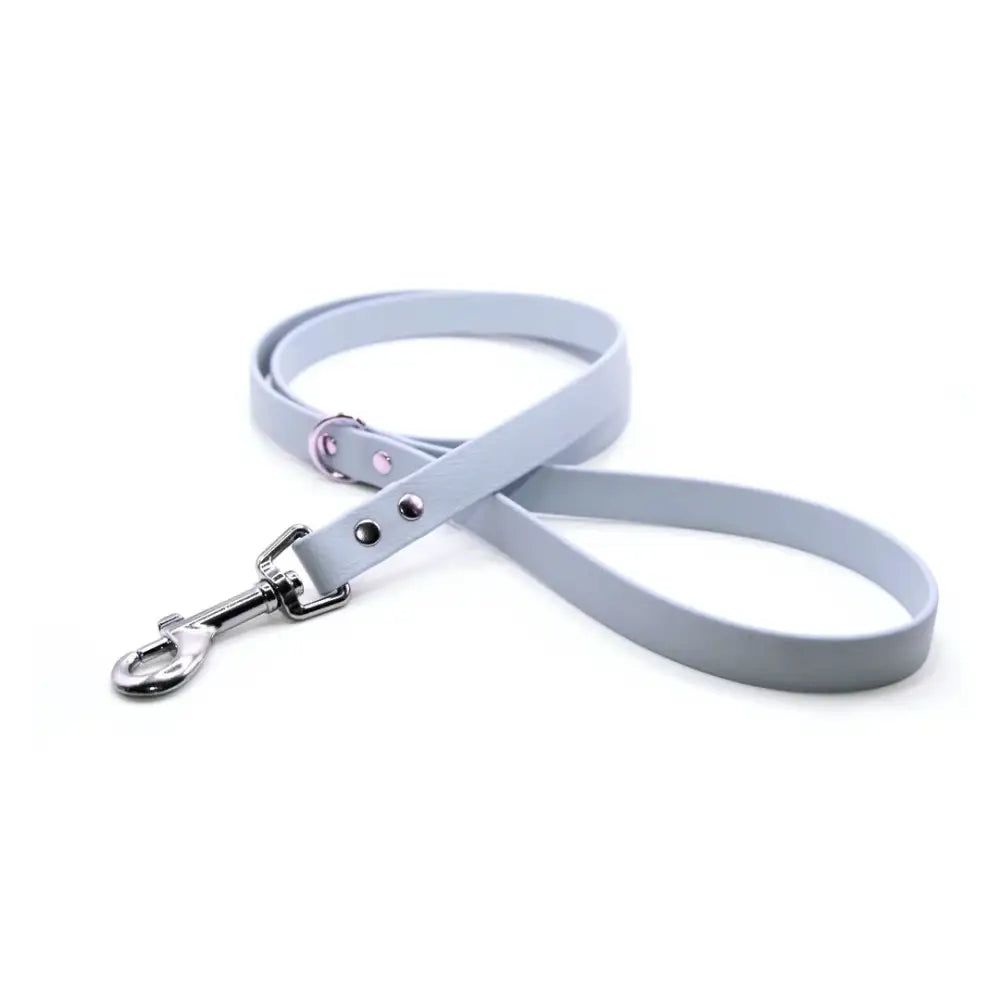 Biothane Waterproof Dog Lead in Baby Blue - Poochie Fashion - 1