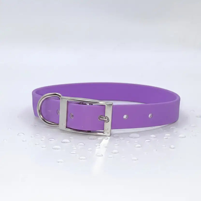 Biothane Waterproof Dog Collar in Purple - Poochie Fashion - 1