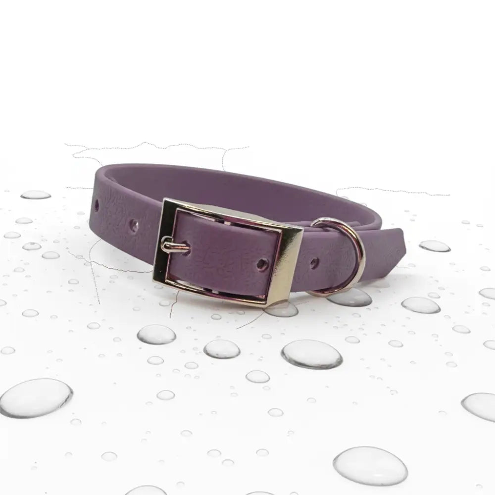 Biothane Waterproof Dog Collar in Purple - Poochie Fashion - 1