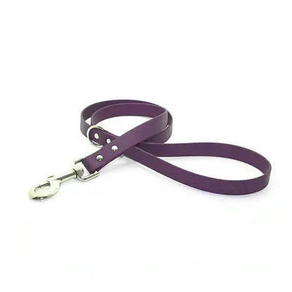 Biothane Waterproof Dog Lead in Purple - Poochie Fashion - 1