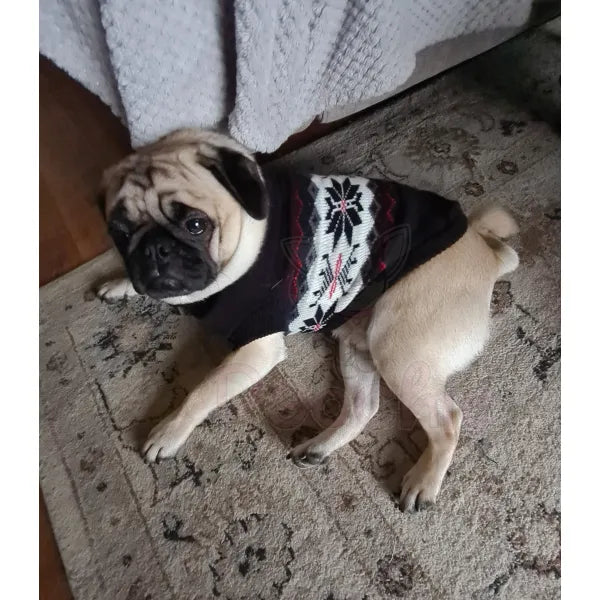 Black Alpine Snowflake Dog Jumper - Urban Pup - 5