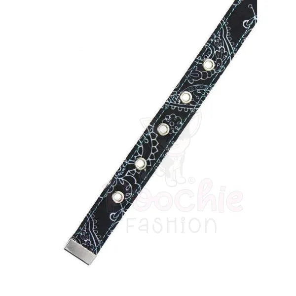 Black and Blue Paisley Designer Fabric Dog Collar - Urban Pup - 3