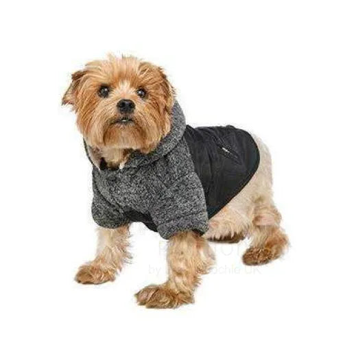 Black Cheviot Tweed Trimmed Designer Dog Coat - Urban - 2