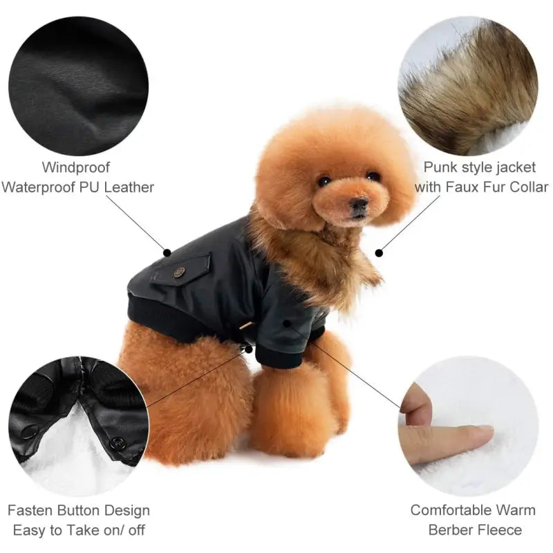 Black Eco Leather Dog Coat - Sale - 4