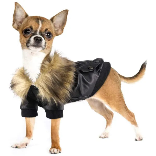 Black Eco Leather Dog Coat - Sale - 1
