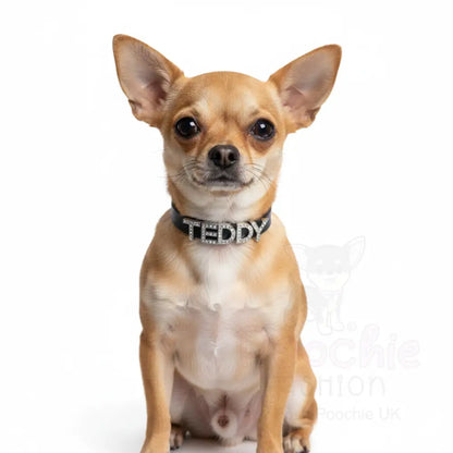 Black Waterproof Personalised Dog Collar with Diamante Letters - Poochie Fashion - 2
