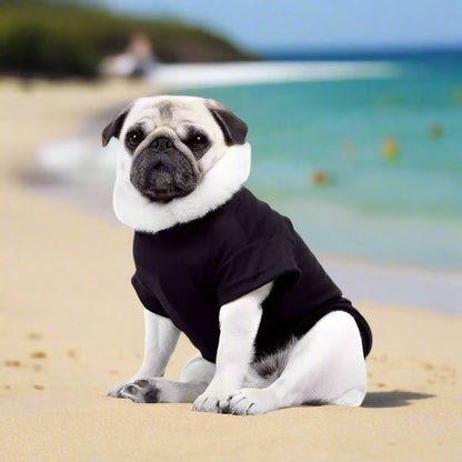 Plain dog clothes shop