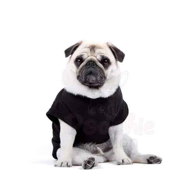 Luxury Black Dog T-shirt - Rich Paw - 2