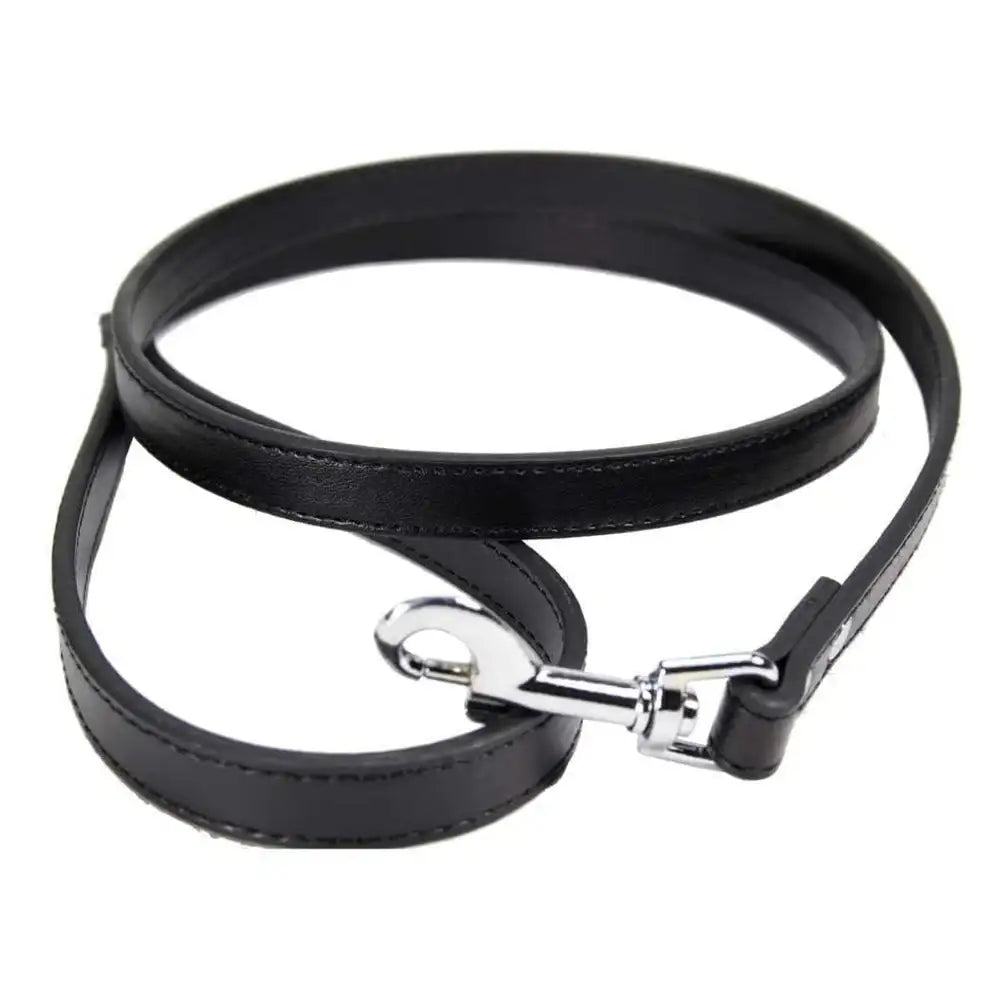 Black Plain Leather Dog Lead - Poochie Fashion - 1