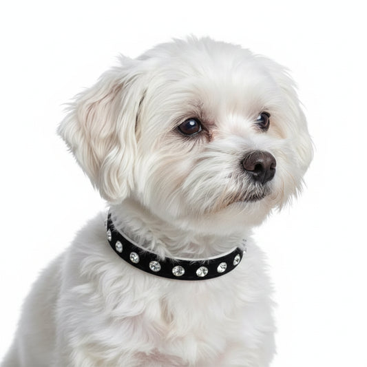 Black Plush Diamante Dog Collar - Posh Pawz - 2