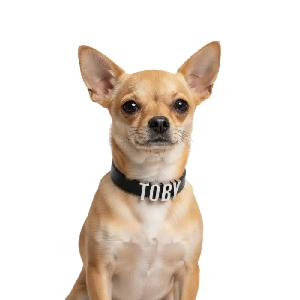 Black Waterproof Personalised Dog Collar with Large Chrome Letters - Poochie Fashion - 2