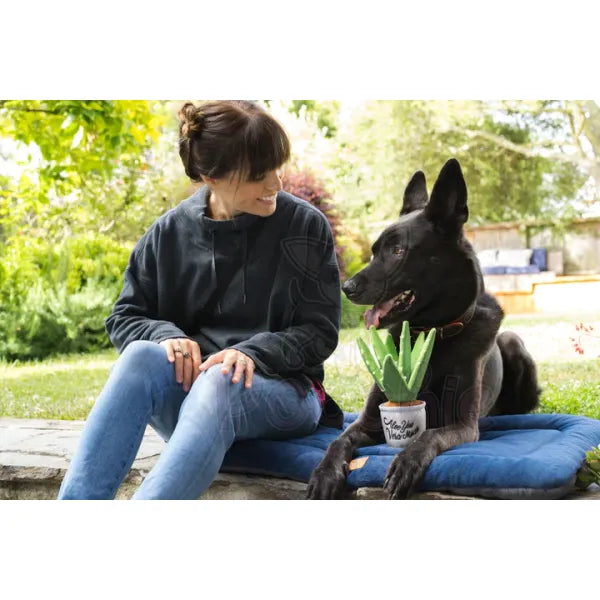 Blooming Buddies Aloe-ve you Plant Dog Toy by P.l.a.y - P.l.a.y - 6