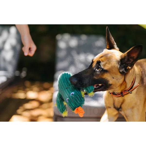 Blooming Buddies Prickly Pup Cactus Dog Toy by P.l.a.y - P.l.a.y - 3