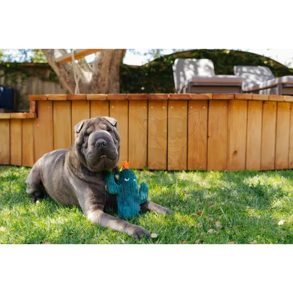 Blooming Buddies Prickly Pup Cactus Dog Toy by P.l.a.y - P.l.a.y - 7