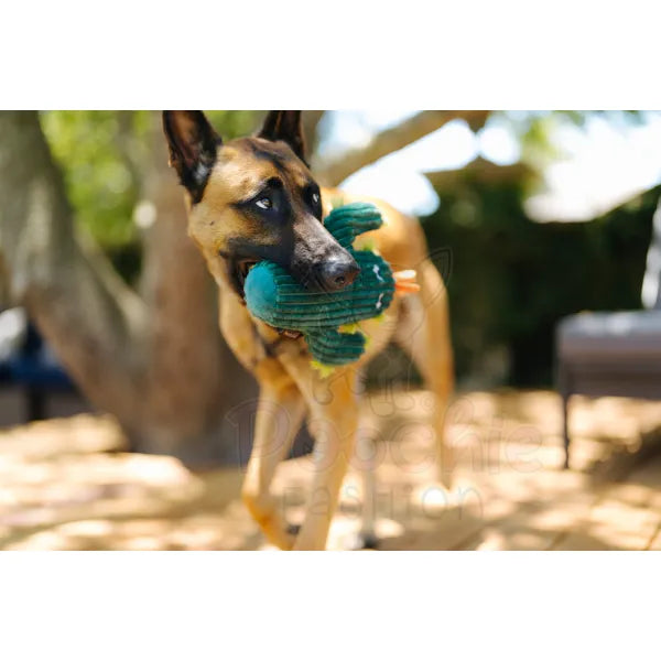 Blooming Buddies Prickly Pup Cactus Dog Toy by P.l.a.y - P.l.a.y - 4