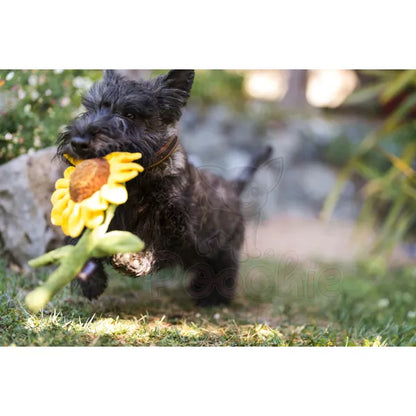 Blooming Buddies Sassy Sunflower Dog Toy by P.l.a.y - P.l.a.y - 3