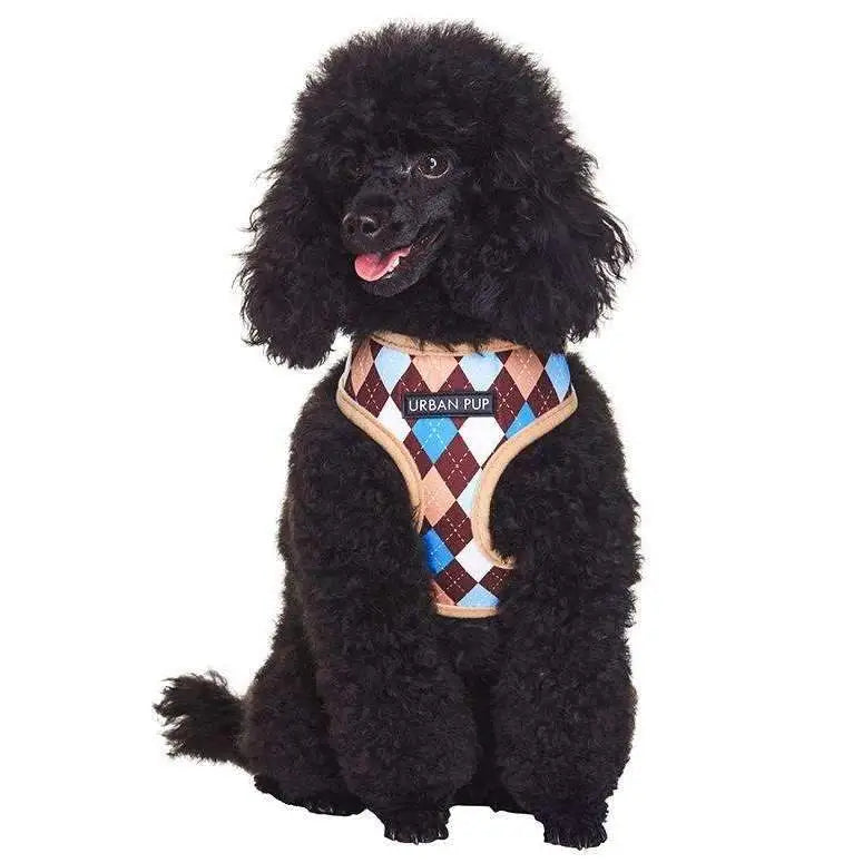 Blue and Brown Argyle Dog Harness Xxs - Sale - 1