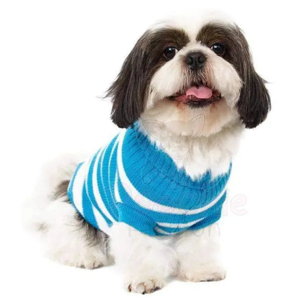 Small hotsell dog jumper
