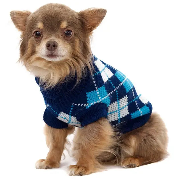 Blue Argyle Dog Jumper - Posh Pawz - 2