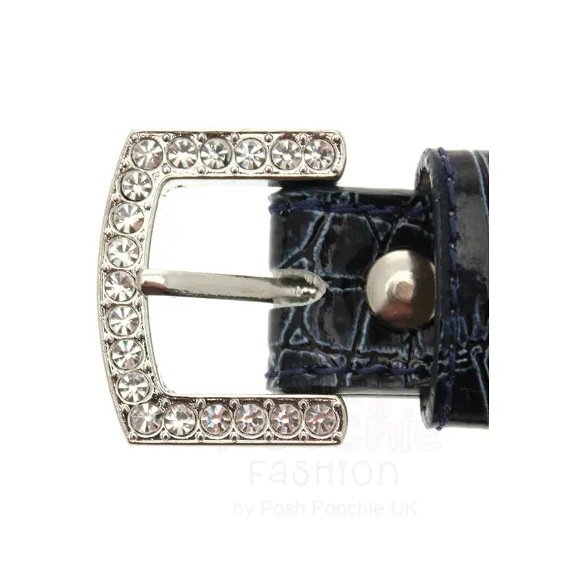 Blue Leather Diamante Bones Dog Collar and Lead Set Medium - Posh Pawz - 6