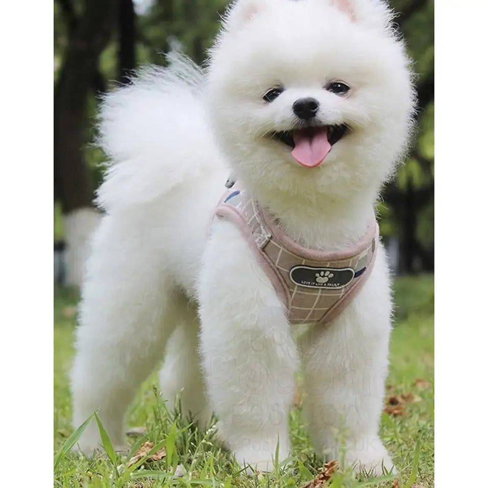 Blush Pink no Pull Vest Dog Harness and Lead Set - Posh Pawz - 6