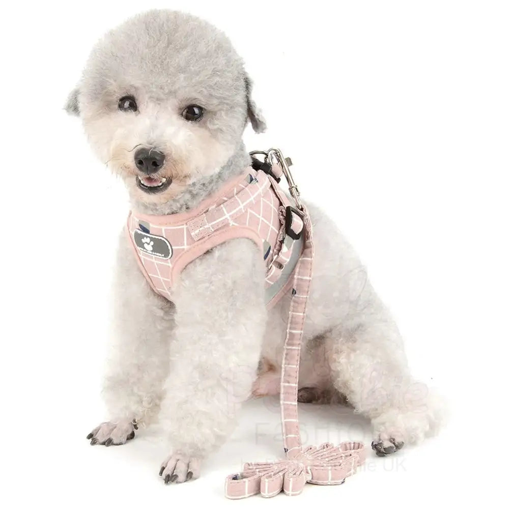 Blush Pink no Pull Vest Dog Harness and Lead Set - Posh Pawz - 5