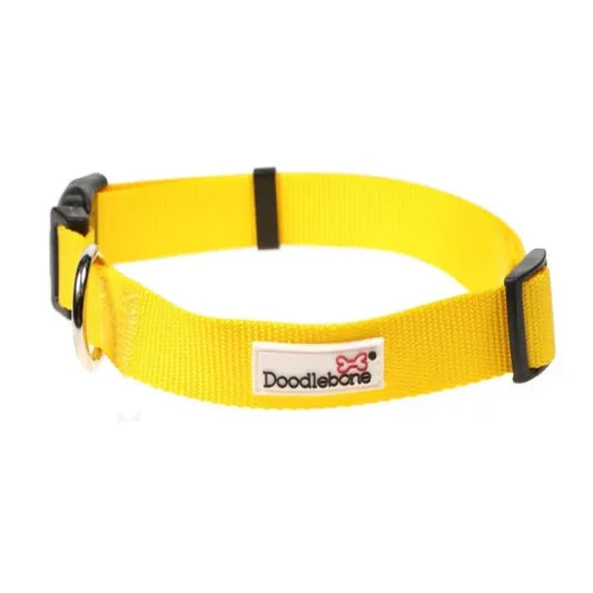 Bold Yellow Adjustable Dog Collar Medium - Sale - 1
