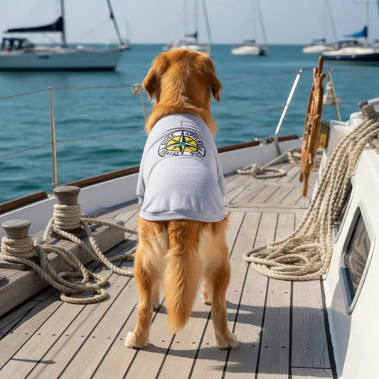 Bone Apparel Novelty Dog T-shirt - Poochie Fashion - 2