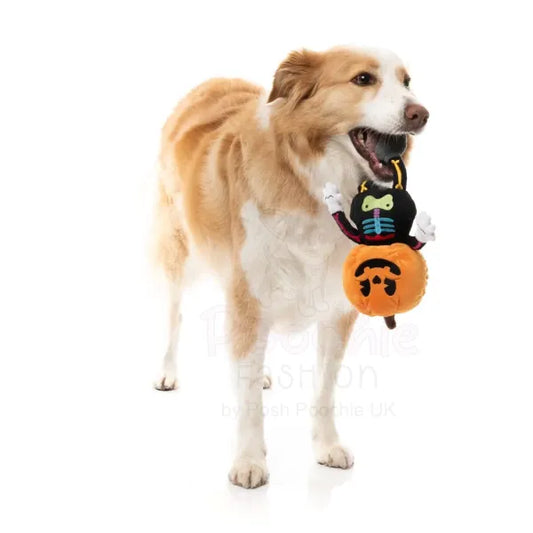Boo-ternut Halloween Dog Toy by Fuzzyard - Fuzzyard - 2