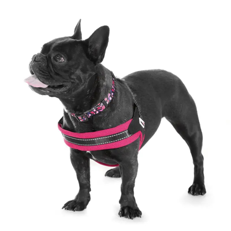 Boomerang Padded Dog Harness Bright Pink Leopard - Doodle 3