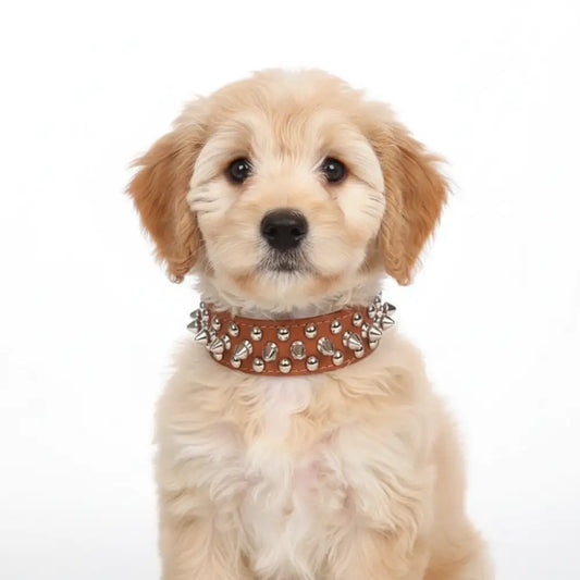 Brown Metro Spike Vegan Leather Dog Collar - Posh Pawz - 2