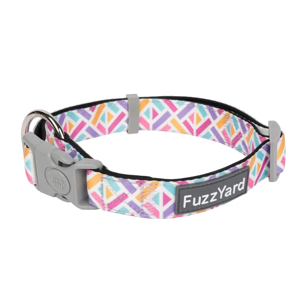 Bubblegum Burst Dog Collar by Fuzzyard - Fuzzyard - 1