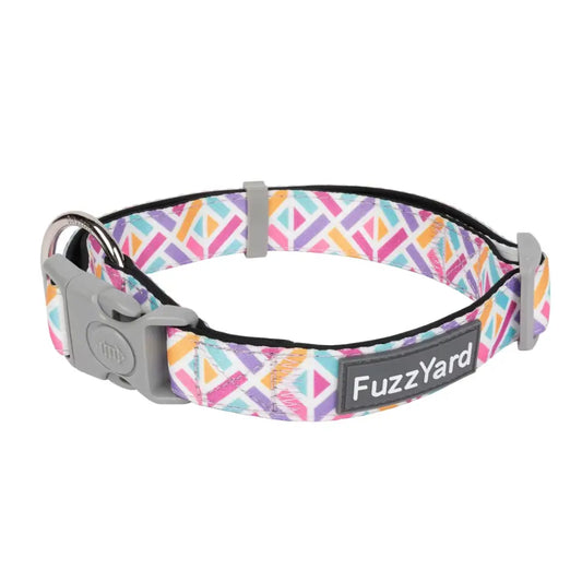 Bubblegum Burst Dog Collar by Fuzzyard - Fuzzyard - 1
