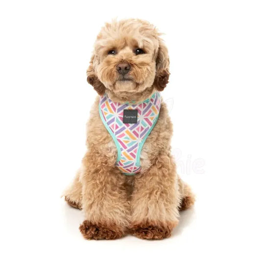 Bubblegum Burst Dog Harness by Fuzzyard - Fuzzyard - 2