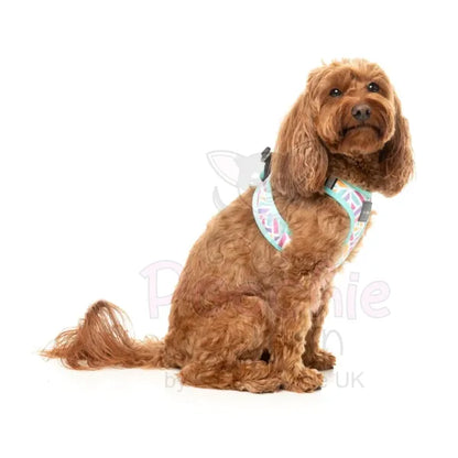 Bubblegum Burst Step in Dog Harness by Fuzzyard Fuzzyard 7