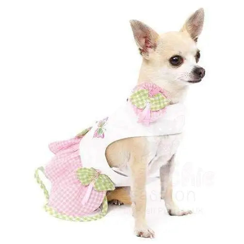 Large 2024 dog dresses