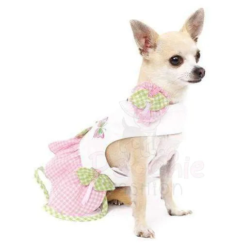 Butterfly Dog Harness Dress Set - Urban - 2