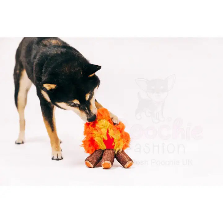 Camp Corbin Cozy Campfire Dog Toy by P.l.a.y - P.l.a.y - 3