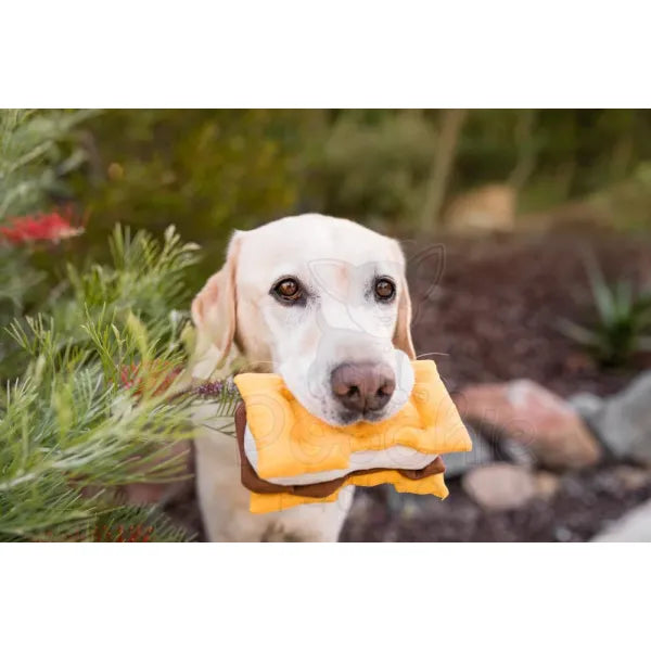 Camp Corbin Gimme S’more Dog Toy by P.l.a.y - P.l.a.y - 3