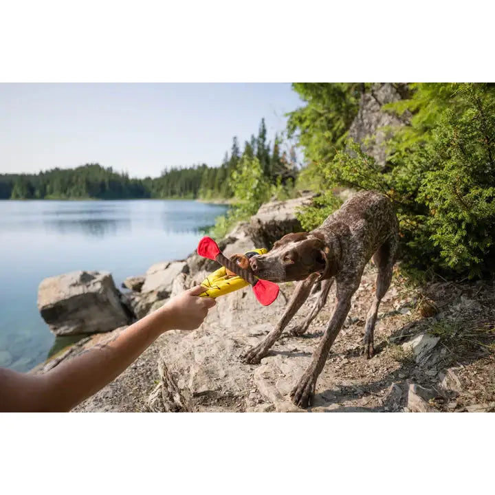 Camp Corbin K9 Kayak Dog Toy by P.l.a.y - P.l.a.y - 3