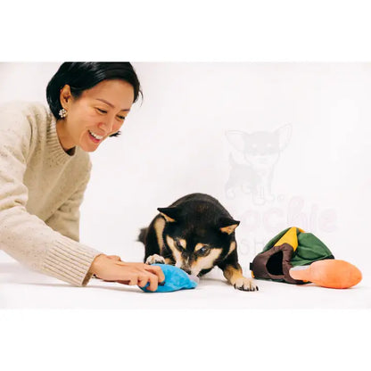 Camp Corbin Trailblazing Tent Dog Toy by P.l.a.y - P.l.a.y - 5