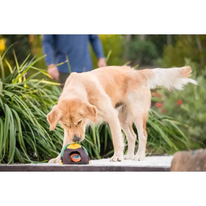 Camp Corbin Trailblazing Tent Dog Toy by P.l.a.y - P.l.a.y - 4