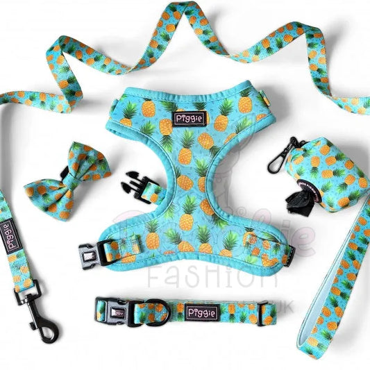 Caribbean Adjustable Neck Dog Harness - Piggie - 2