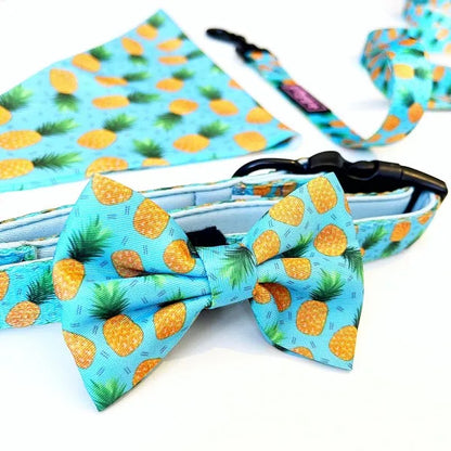 Caribbean Dog Bow Tie - Piggie - 1