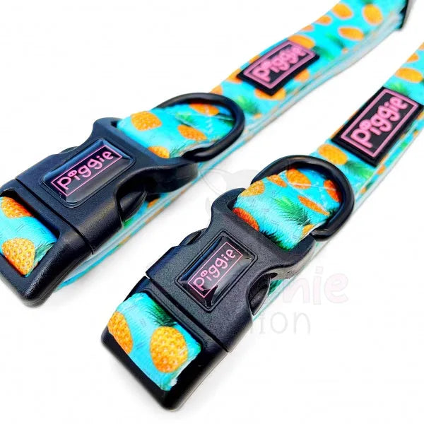 Caribbean Dog Collar - Piggie - 2