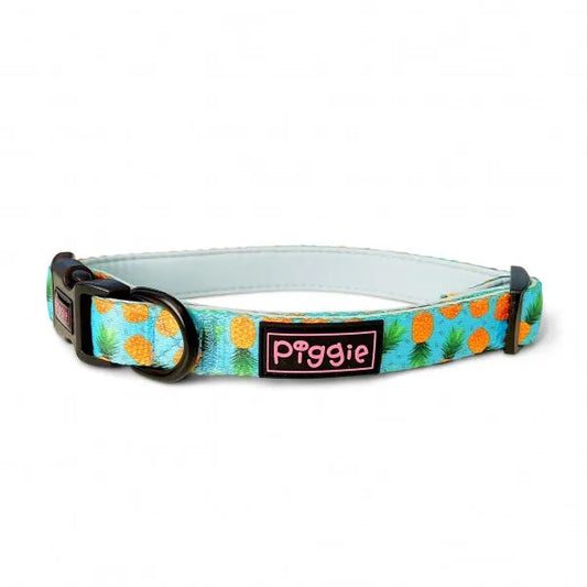 Caribbean Dog Collar - Piggie - 1