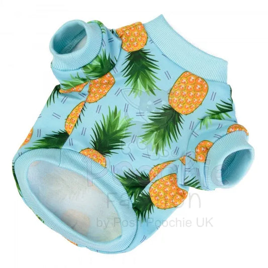 Caribbean Dog Sweatshirt Rich Paw 2