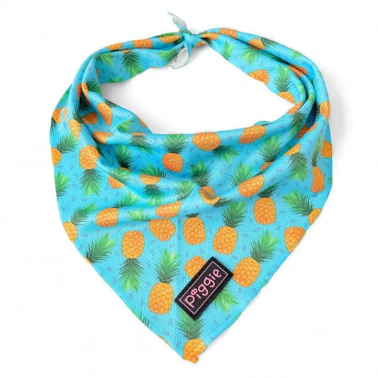 Caribbean Tie on Dog Bandana - Piggie - 1